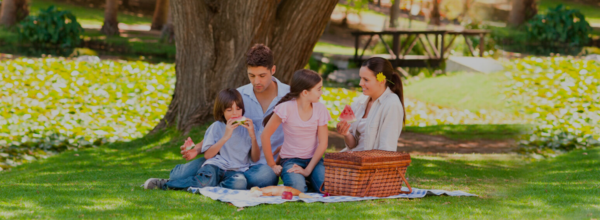 Aygaz ile piknik keyfi